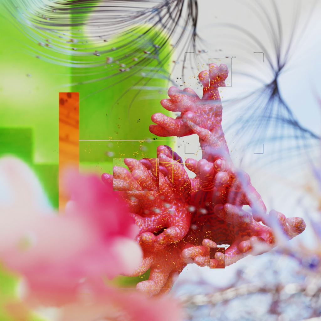 a close up of a flower with a blurry background